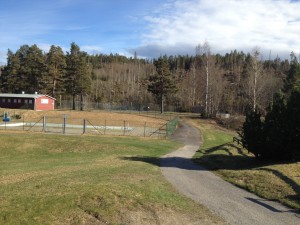Stor avverkning har skett på berget. Nu kommer det in mera ljus på tennisbanan och basketplanen.